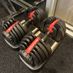 Professional adjustable dumbbells set on a home gym floor mat
